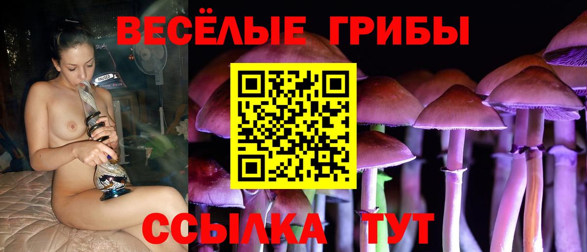 Галлюциногенные грибы ЛСД Заволжье